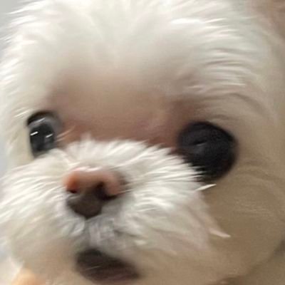 forme_myhappy's profile picture. 