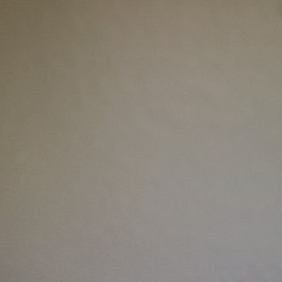 BiggieGlizzy's profile picture. 