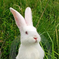 Touchette Nancy (@nancytouchette7) 's Twitter Profile
