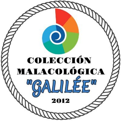 Profesor en biología, apasionado por la conquiliología. Coleccionista de conchas de moluscos.