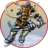 KHLMladost's profile image