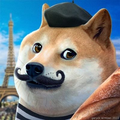 Je parle du Dogecoin mais pas que... Tech, Livres, Sport et tout ce qui me passe par la tête. 👌