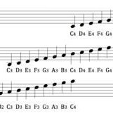 ultraliberalofc's profile picture. 