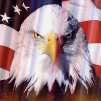 🇺🇸 Love My Country! 🇺🇸(@my_pistons) 's Twitter Profile Photo