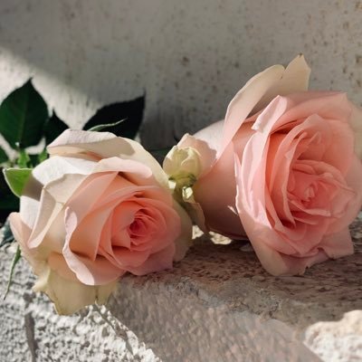 Juli551i's profile picture. 