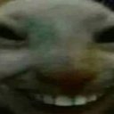 xvalinek's profile picture. xd