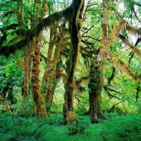 goli9(💙,🧡) (@goli914) 's Twitter Profile