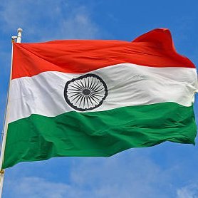 mukeshgupta301's profile picture. 