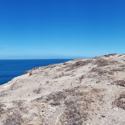 tea_vaiti's profile picture. 