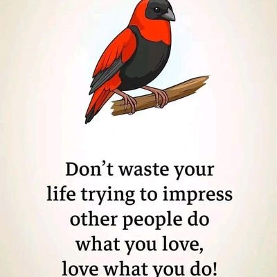 tujaarlakicha1's profile picture. I am a peace loving kenyan