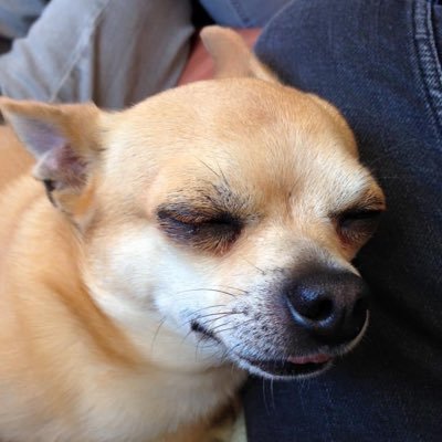 littlechick78's profile picture. Wife, mum, daughter, dog lover, busy maniac, waiting for the day to sit back & enjoy life. Views are my own.