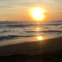 Curious2 (@curious66360808) 's Twitter Profile