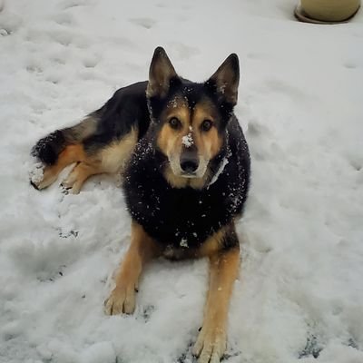 xinto33156261's profile picture. 📍🗽 🛍Fashion leader 🏃🏼‍♀️exercise🍱food👣travel🌎❤️Patriots and US proud❤️ Around the World✈️ Enjoys exchanging ideas and relaxing with like minded people.