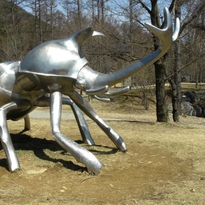 ggato357's profile picture. 