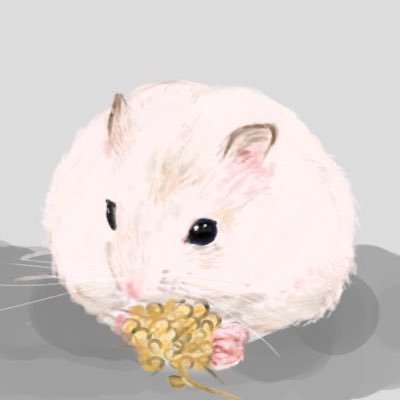いちる ちょこさんのプロフィール画像
