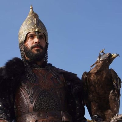 SedeekMahmoud's profile picture. 