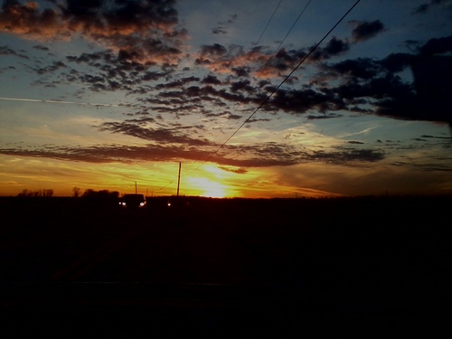 ptsd14's profile picture. independent films