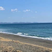 モーリス (@maurice_1963) 's Twitter Profile