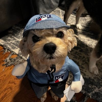 Terikmorgan's profile picture. Retired Postmaster, dog and lover of all animals. Life long democrat. No DMs please and I will not do the same.💙🇺🇦🌈
