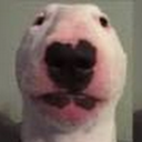 Caleb Adcock - @CalebAdcock14 - Twitter