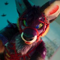 Coyote XXX-ing (@kineticcoyote) 's Twitter Profile