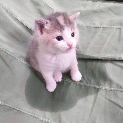 Miloさんのプロフィール画像