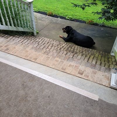 stratrg's profile picture. 