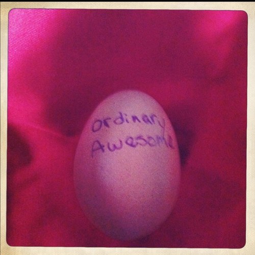 Ordinaryawesome's profile picture. living the slightly irritated life in the ATL