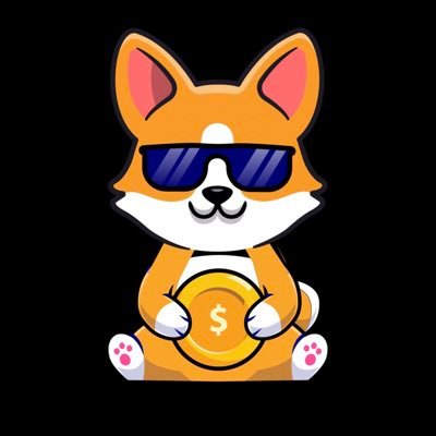 CORGI_TOKENS Profile Picture