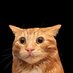 jughead.usdc (@0xjughead) Twitter profile photo jughead.usdc (@0xjughead) Twitter profile photo