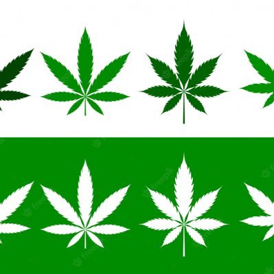 svuGpdoIvgjJp0O's profile picture. 