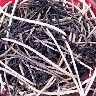 General Agric. Services {neeFarms®} https://t.co/37lvd3kf8b
