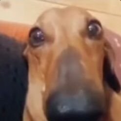 erm_dw's profile picture. As my name says, dw bout this