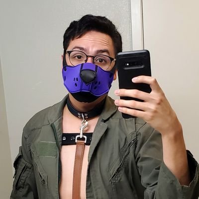 26 (He|Him), bay area poly pup and fur, interests include; hypno, bondage, edging, sub/dom, pup play, exploring the kink world etc. (Dms open)(NSFW)(18+ ONLY)