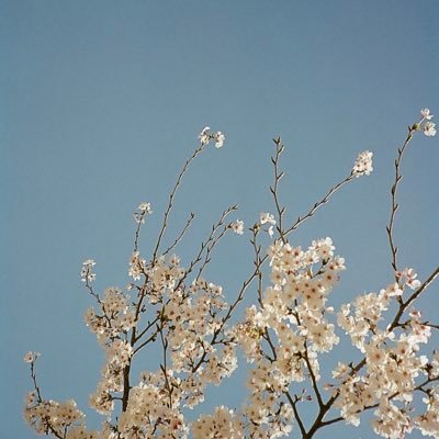 srcbQnCAqoi1Xh3's profile picture. 