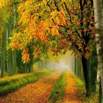 nadona555's profile picture. معلمة كيمياء مهتمة بـ #التحول_الرقمي

أقارن نفسي بالأمس حتى اْبني غدآ جميل لنفسي.

حساب شخصي