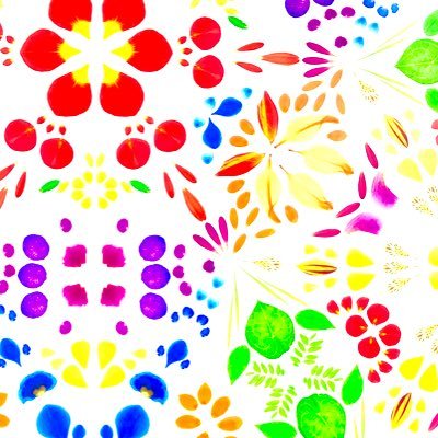 hogemam's profile picture. 2人子持ち83年生/フルタイムワーママ→産休/2023/02/15出産/気軽に絡んでください♡/東京在住/猫飼い/子鉄ママ/キラキラしてない系ママ/無痛分娩/迷走神経反射持ち