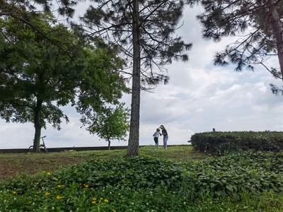 AllonsieShi's profile picture. 