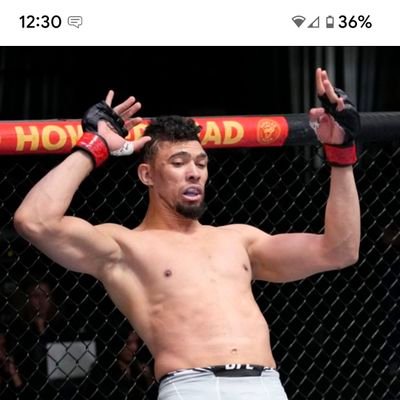 LightPayton's profile picture. 