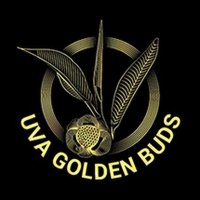 Uva Golden Buds(@uva_buds) 's Twitter Profile Photo