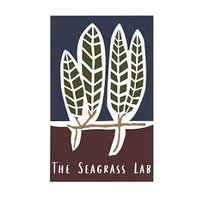 The Seagrass Lab(@Gidon_Winters) 's Twitter Profile Photo