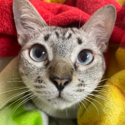 HereMagma's profile picture. called " Tim "