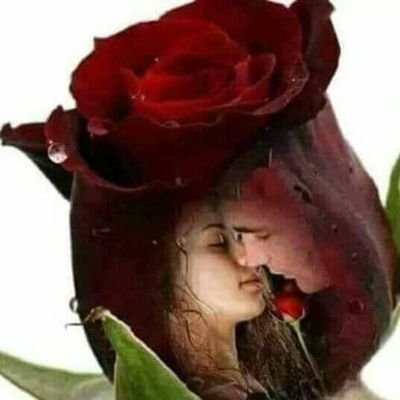 HansFrick5's profile picture. Brutal ärlich ! .