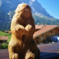 Der Psychiater Ihres Vertrauens (@einmurmeltier) 's Twitter Profile Photo Der Psychiater Ihres Vertrauens (@einmurmeltier) 's Twitter Profile Photo