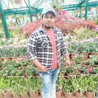 Rakesh Kumar mangal (@rakeshk65004402) 's Twitter Profile