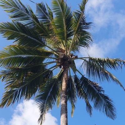 vyolz's profile picture. Take me as i am..........