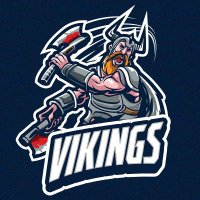 Vikings (@vikingsflc_) 's Twitter Profile