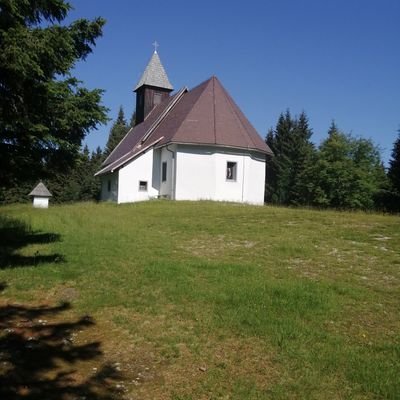 Darko25813778's profile picture. 