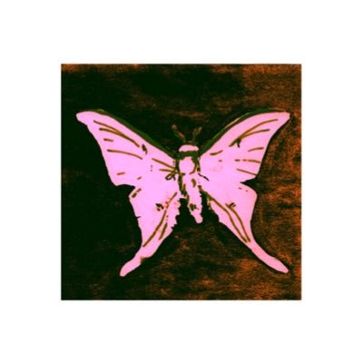 Луіса🦋🇺🇦さんのプロフィール画像