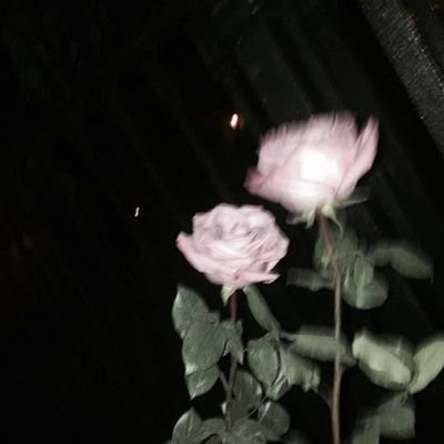 AulinMolle's profile picture. saya hanya gabutt 🦋🦋